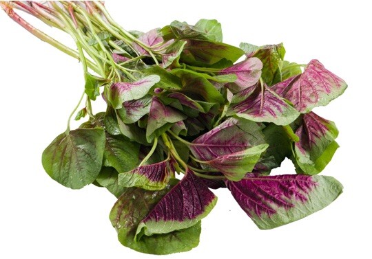 FreeShip 1-LB 480,000 Rau Den Red Stripe Leaf AMARANTH Seeds Chinese Spinach 紅莧菜