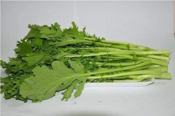 Cai Ngot Duoi Phung Xanh 1000 seeds + 500 Free, easy to Grow Cải Đuôi Phụng