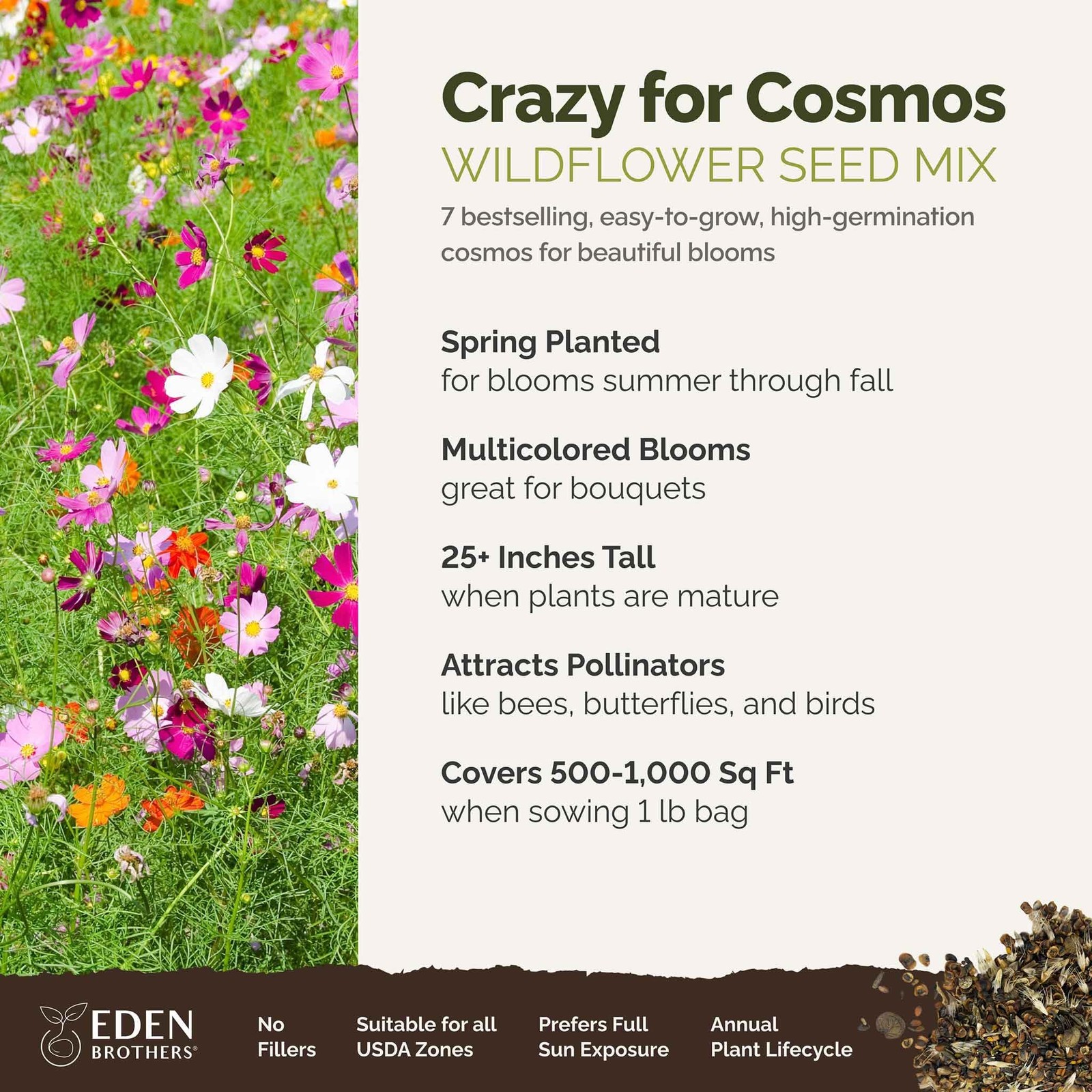 Mixed Cosmos Flower Seeds 1 lb – Attract Pollinators, Plant in Spring or Fall