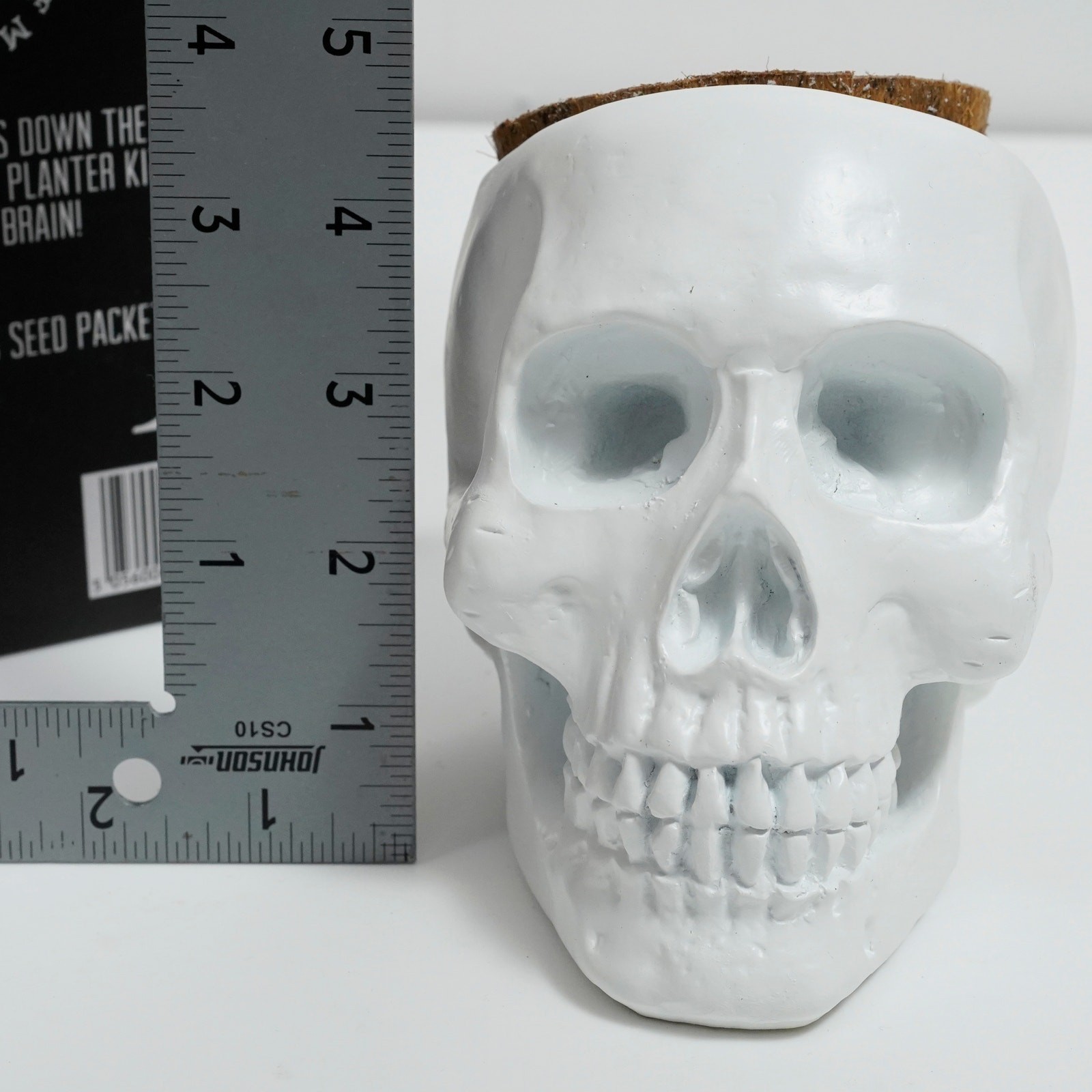 Skull Planter Cactus Grow Kit Macabre Gothic Decor Novelty Gift New in Box