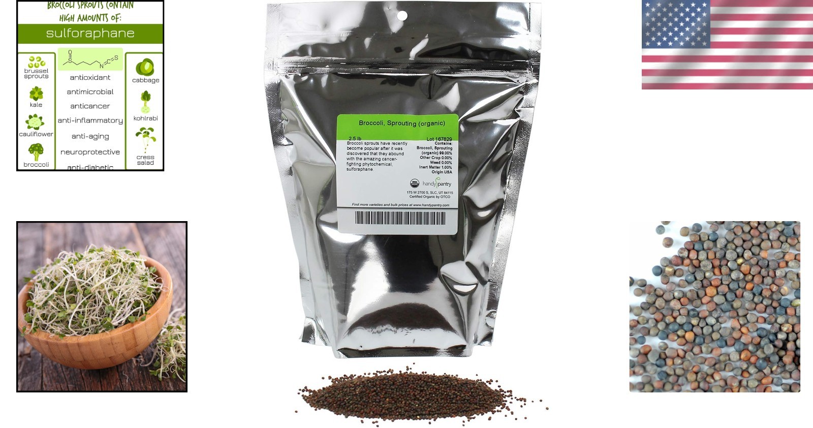 Heirloom Non-GMO Organic Broccoli Sprouts | High Nutrients