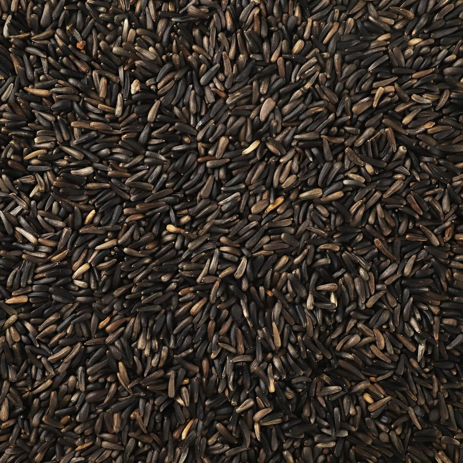Happy Wings Nyjer/Thistle Seeds Wild Bird Food – 5 Pounds I No Grow Seed I Bird