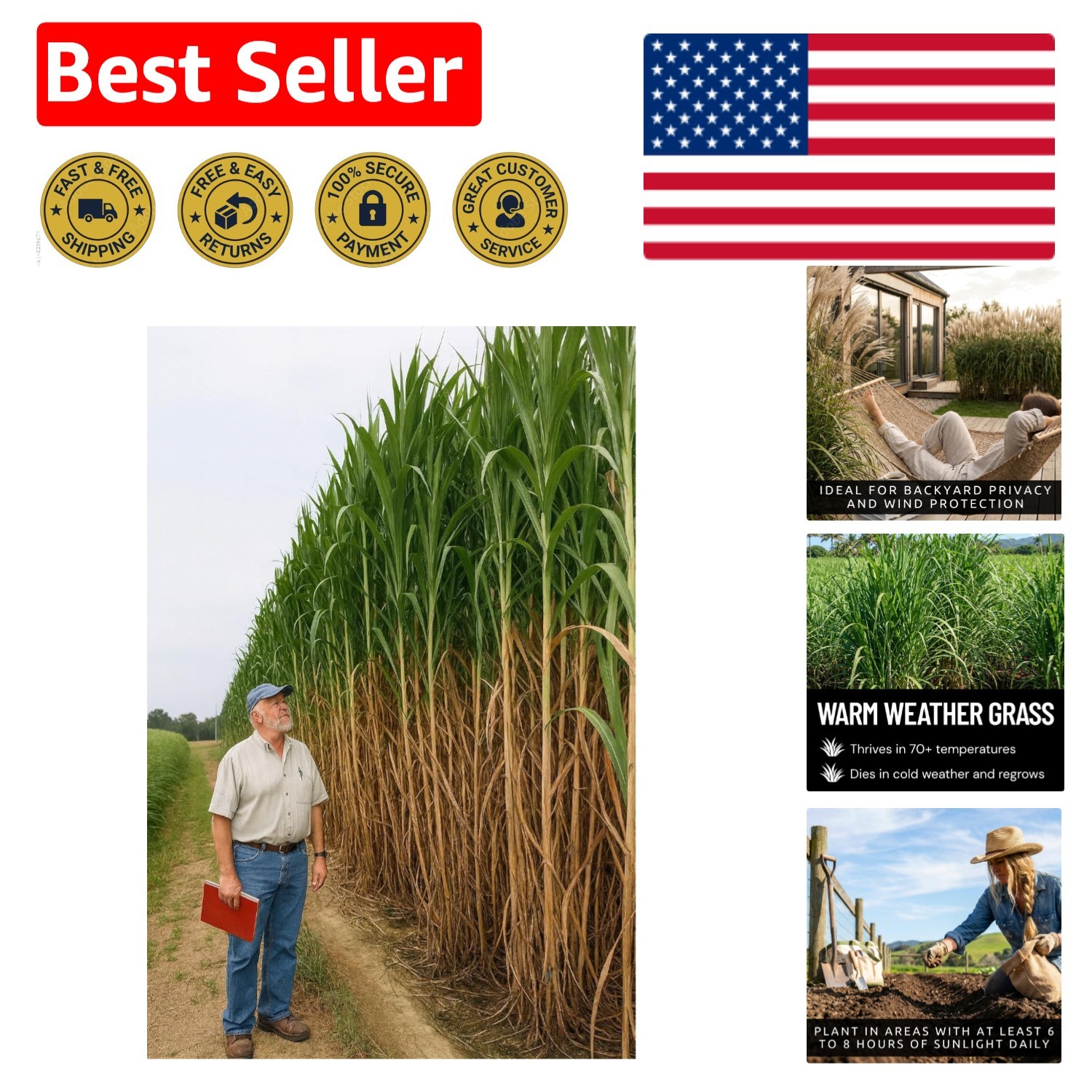 Fast-Growing Elephant Grass Seeds – 100 Count for Stunning 15 Ft Privacy Screens