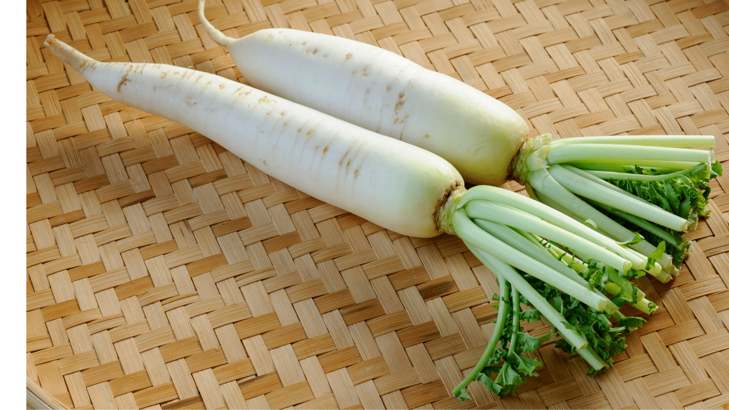 SCARBOROUGH SEEDS DAIKON RADISH 100 SEEDS-HEIRLOOM- NON-GMO