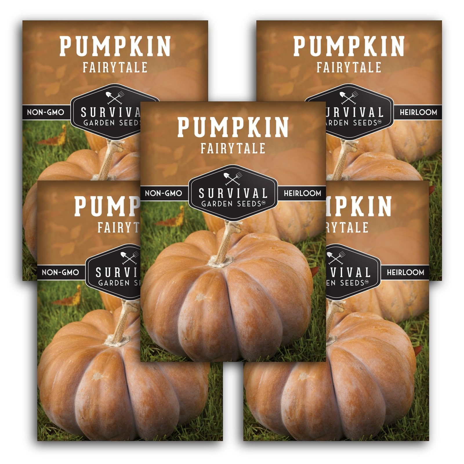 Heirloom Pumpkin Seeds for Planting | Sweet Flavor for Pies, Soups, Décor