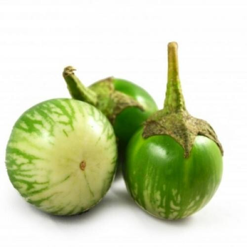 GREEN THAI EGGPLANT ,PETCH SIAM / MATTI GULLA SEEDS, HẠT CÀ DĨA VN