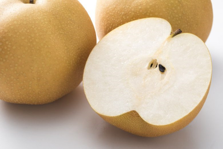 Asian Pear Tree | Premium Seeds | Pyrus pyrifolia ‘Fall’ | Plants’®