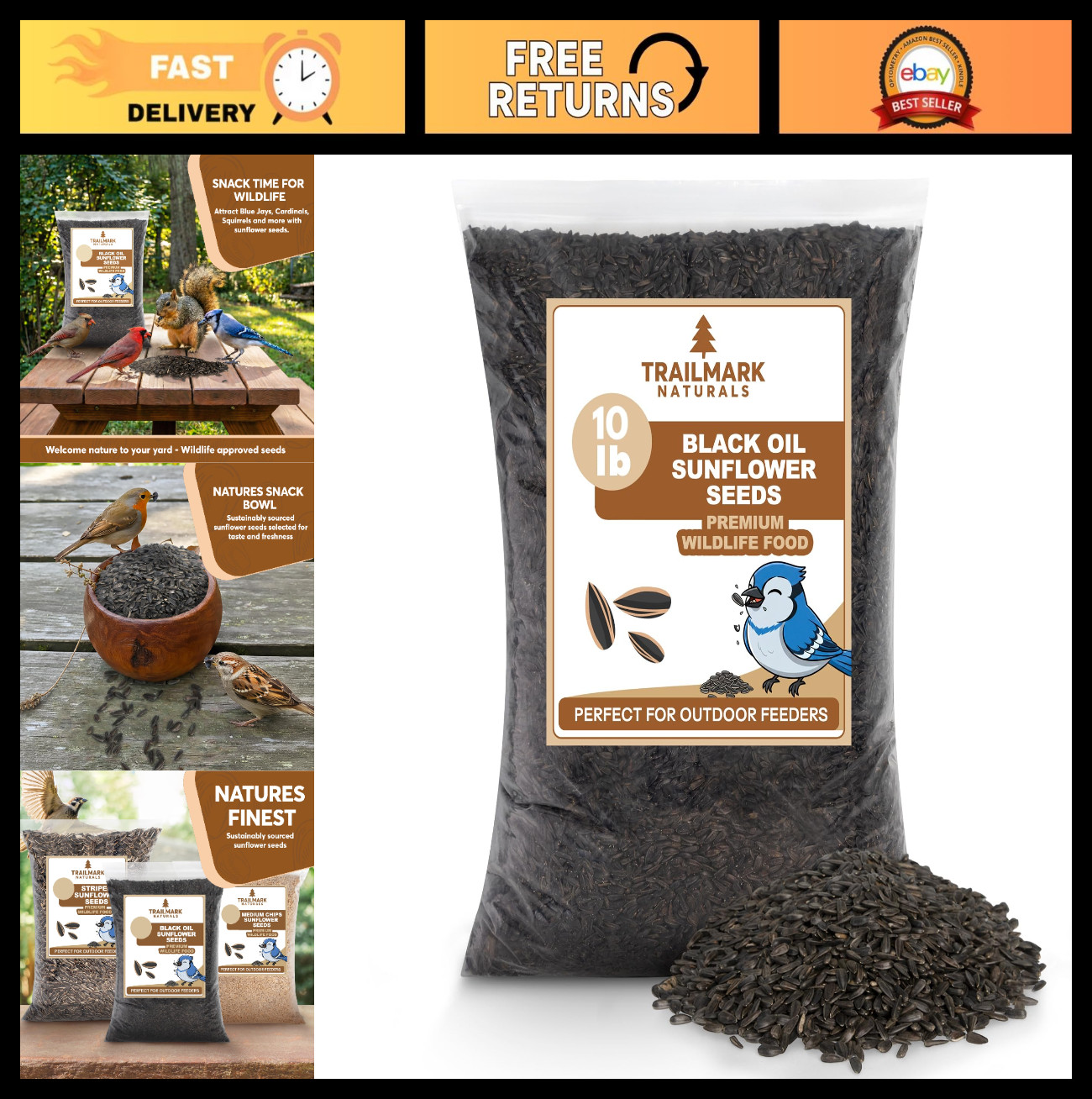 10 lb Black Oil Sunflower Seeds for Birds – Premium Non-GMO Wildlife Food