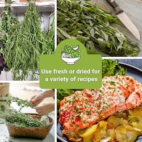 Sow Right Seeds Tarragon Seed Collection – Non-GMO Heirloom Varieties