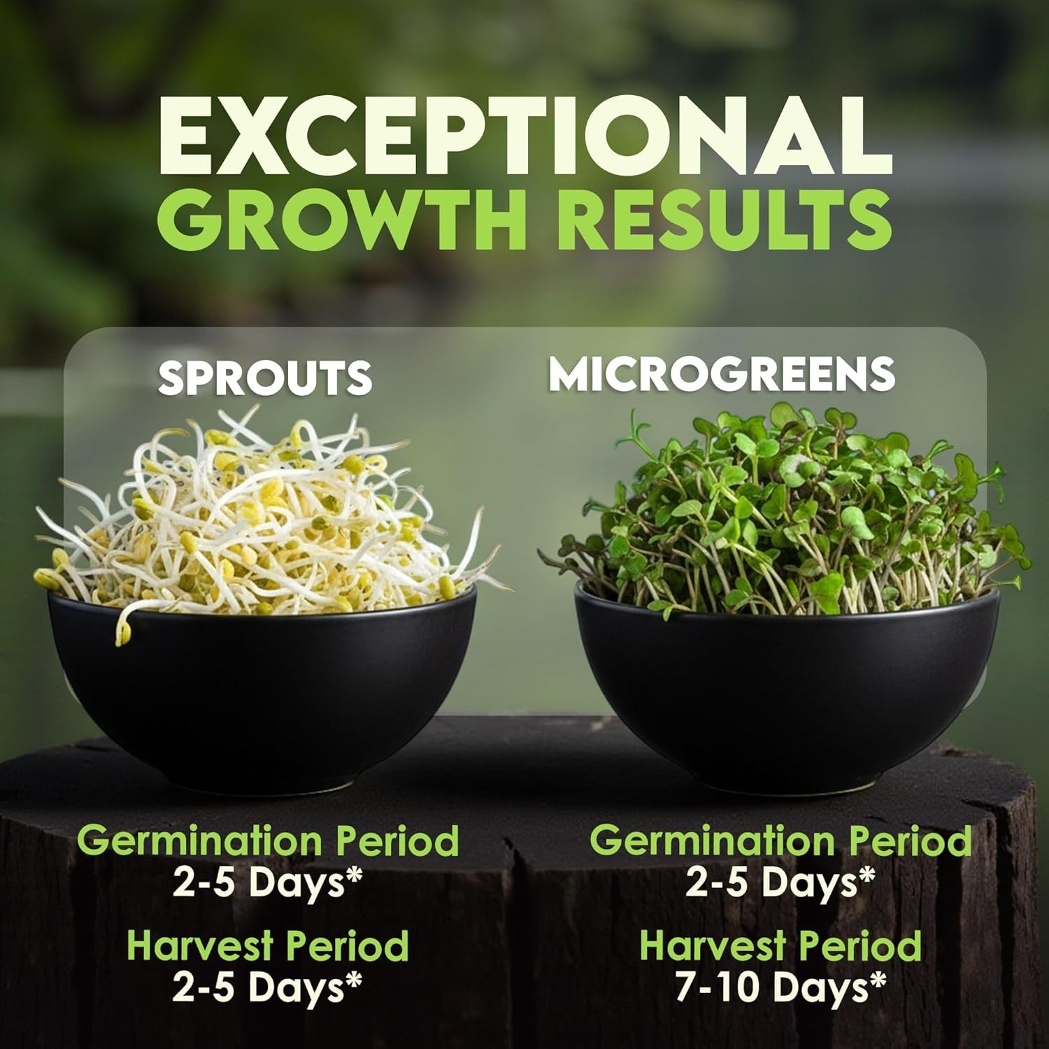 Grow Nutrient-Rich Organic Microgreens at Home – Broccoli, Alfalfa, and More