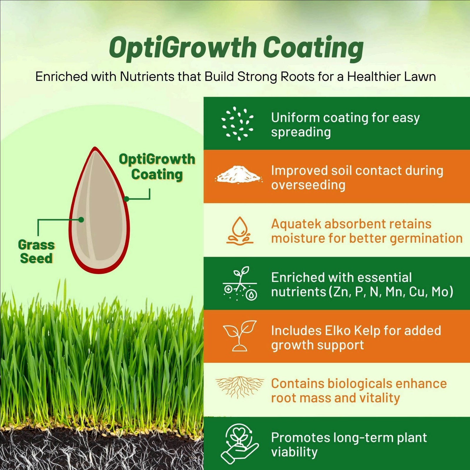 5 LBS – OptiGrowth Coated Fireball & Hattrick Grass Seed – Perennial