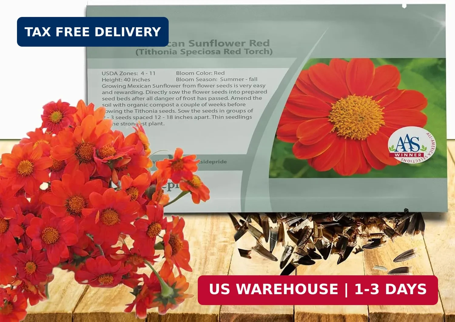 Outsidepride Red Torch Mexican Sunflower Seeds – 1000 Seeds Annual Tithonia, Fas