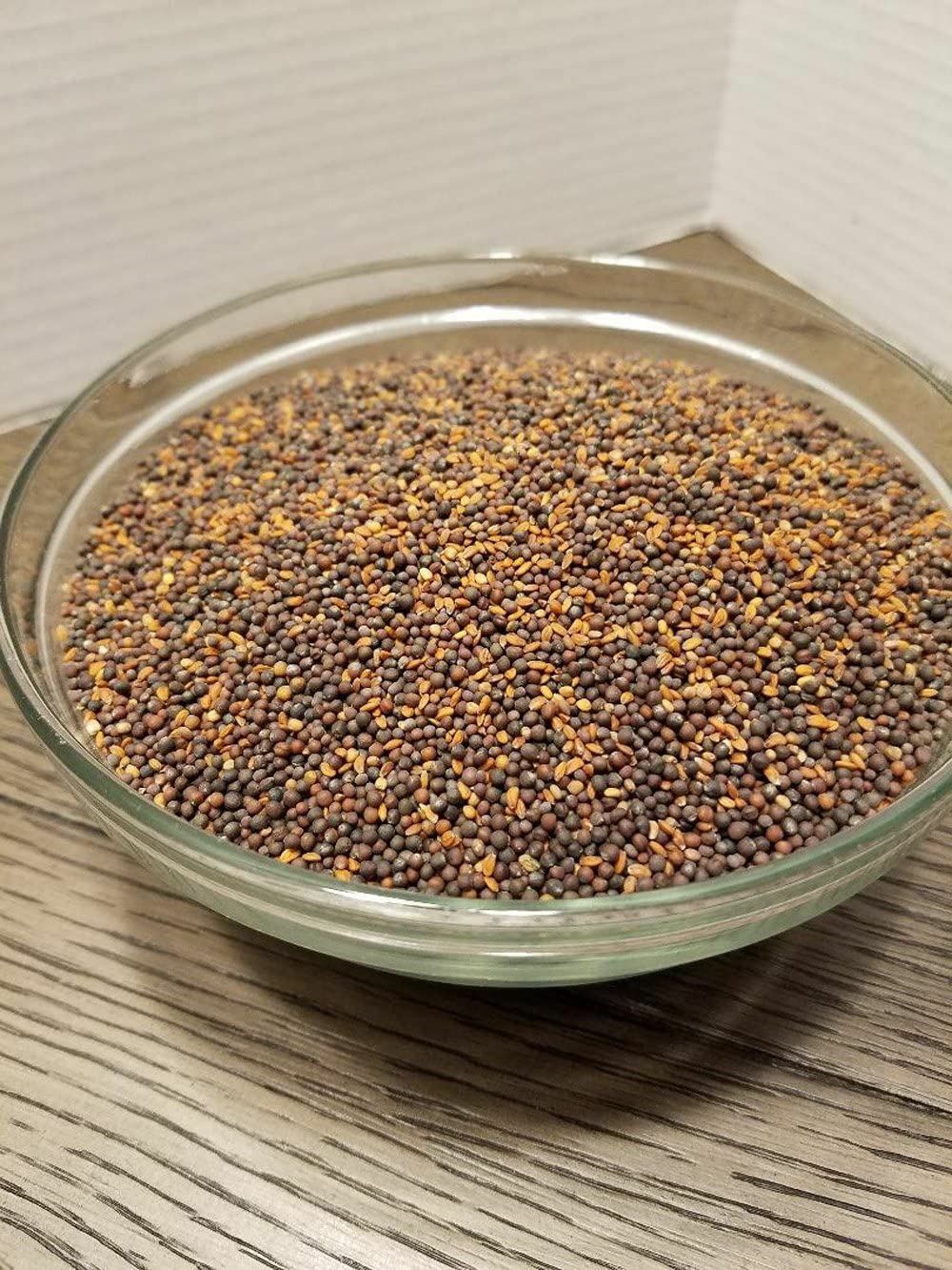 Logan’s Leafy Greens Mix Seeds for Sprouting microgreens, Arugula, Curled Cress.