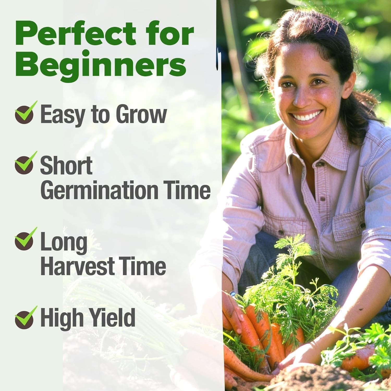 Tendersweet 3000+ Carrot Seeds | NON-GMO Carrot Seeds | Fresh Heirloom Seeds