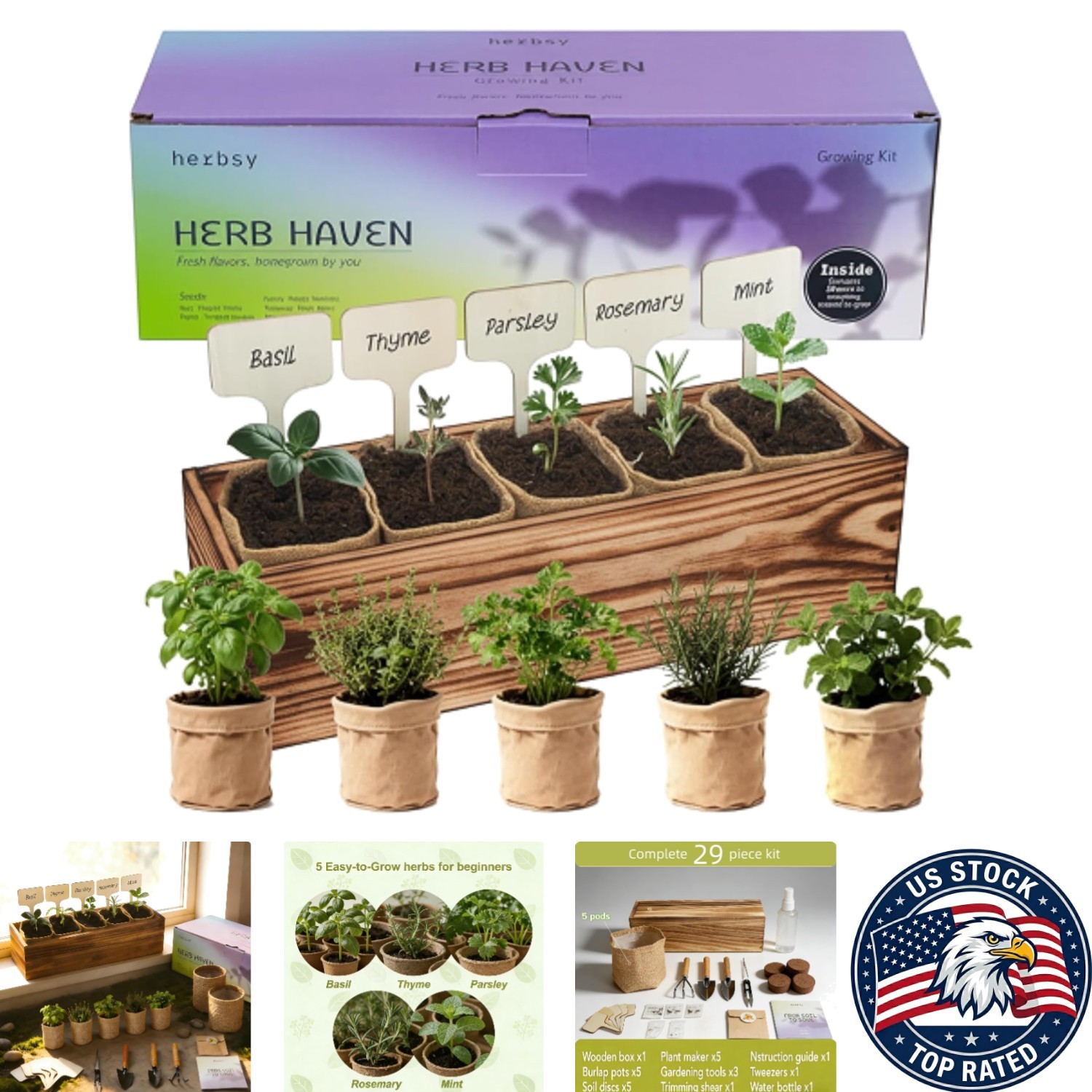 Elegant 5 Herb Garden Starter Kit – Basil, Rosemary, Mint & More for Windowsills