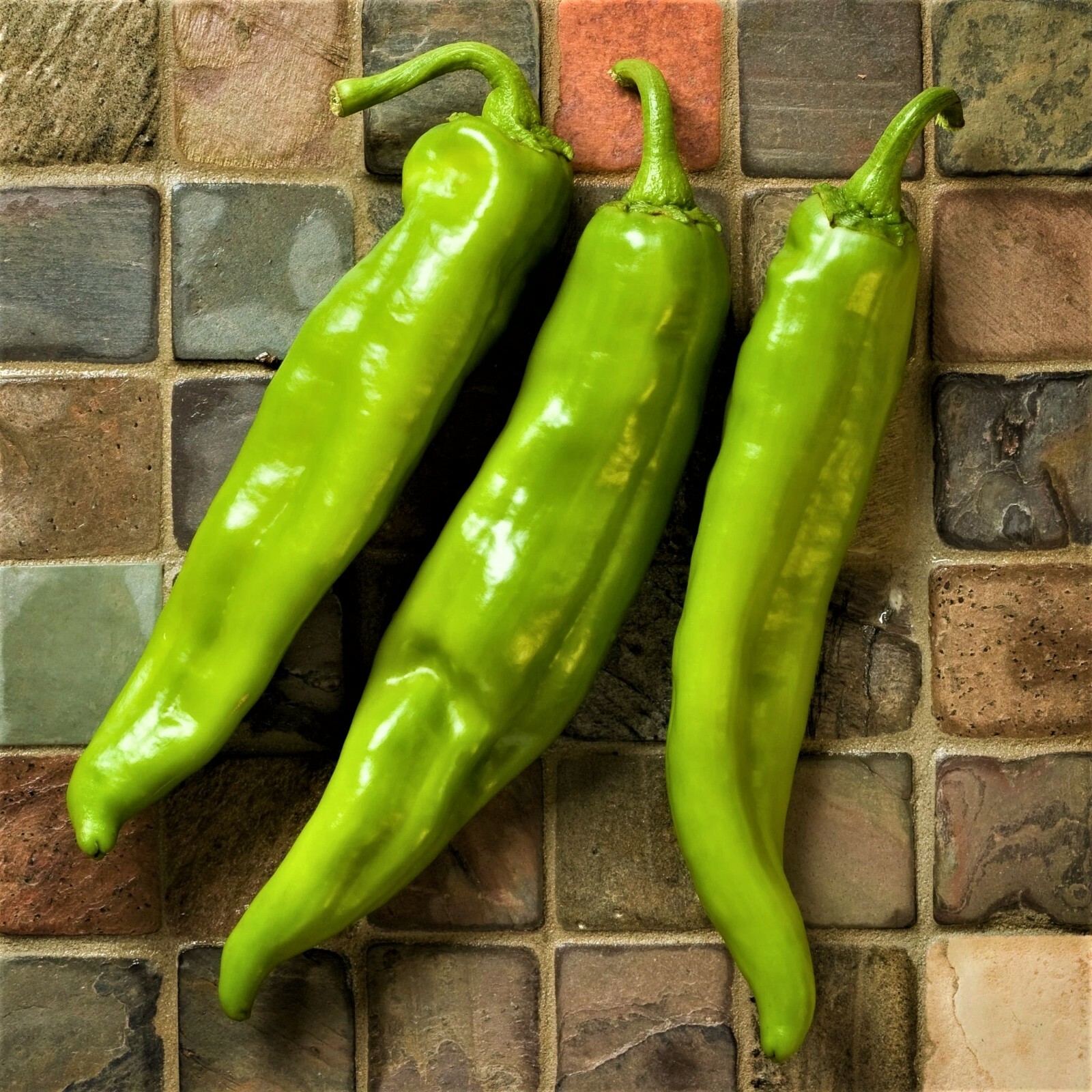 New Mexico Big Jim Chili Pepper 15 Seeds- NuMex Hatch Ristra