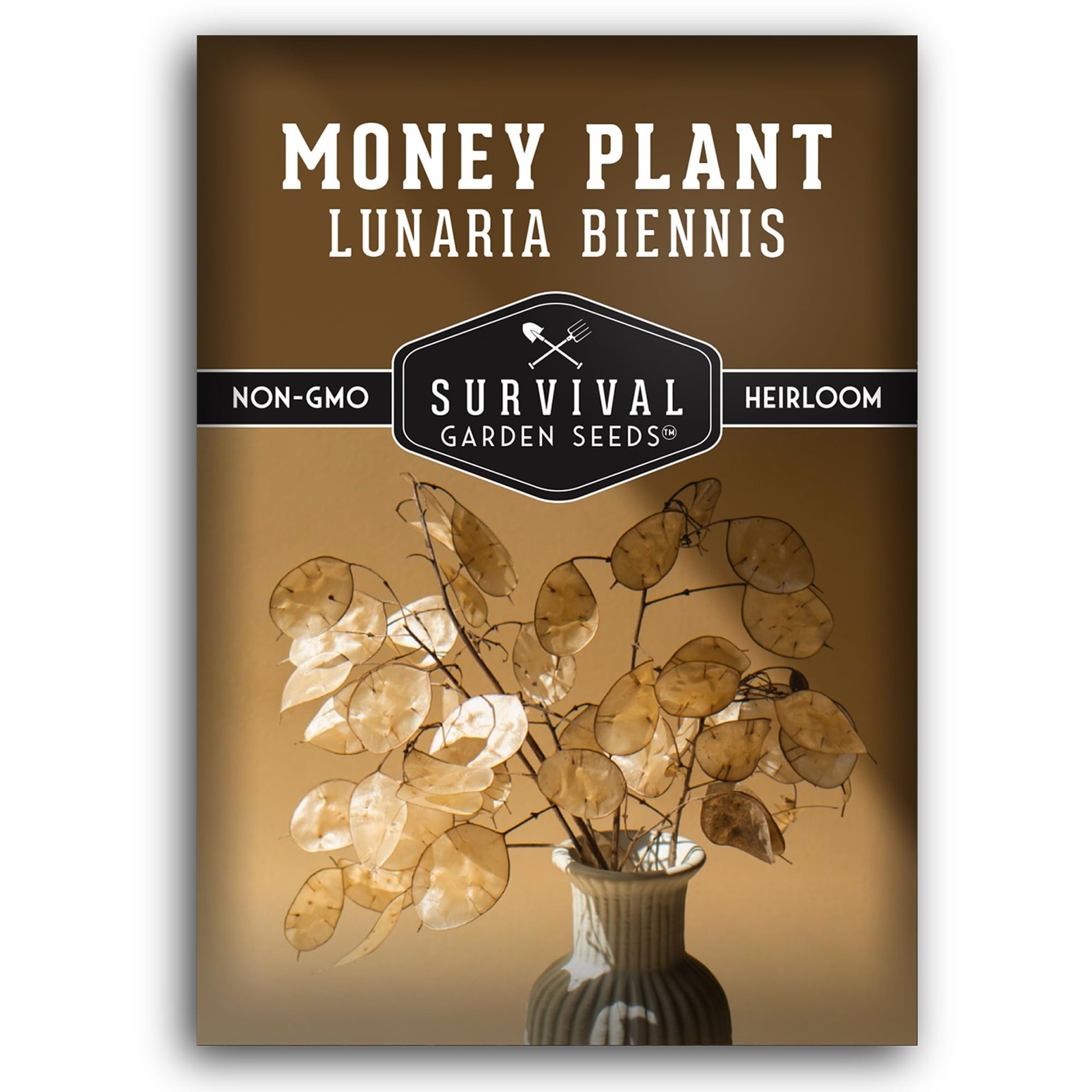Money Plant Seed Non-GMO Heirloom – 1 Packet with Growing Instructions