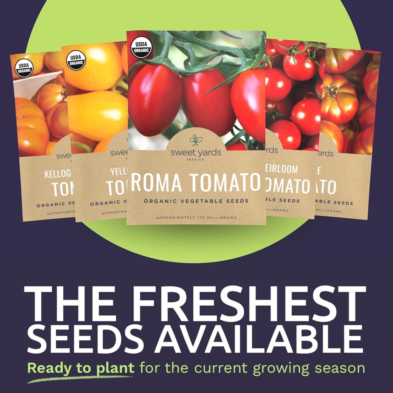 Vibrant Organic Tomato Seeds Variety Pack – 12 Non-GMO Picks for All Seasons