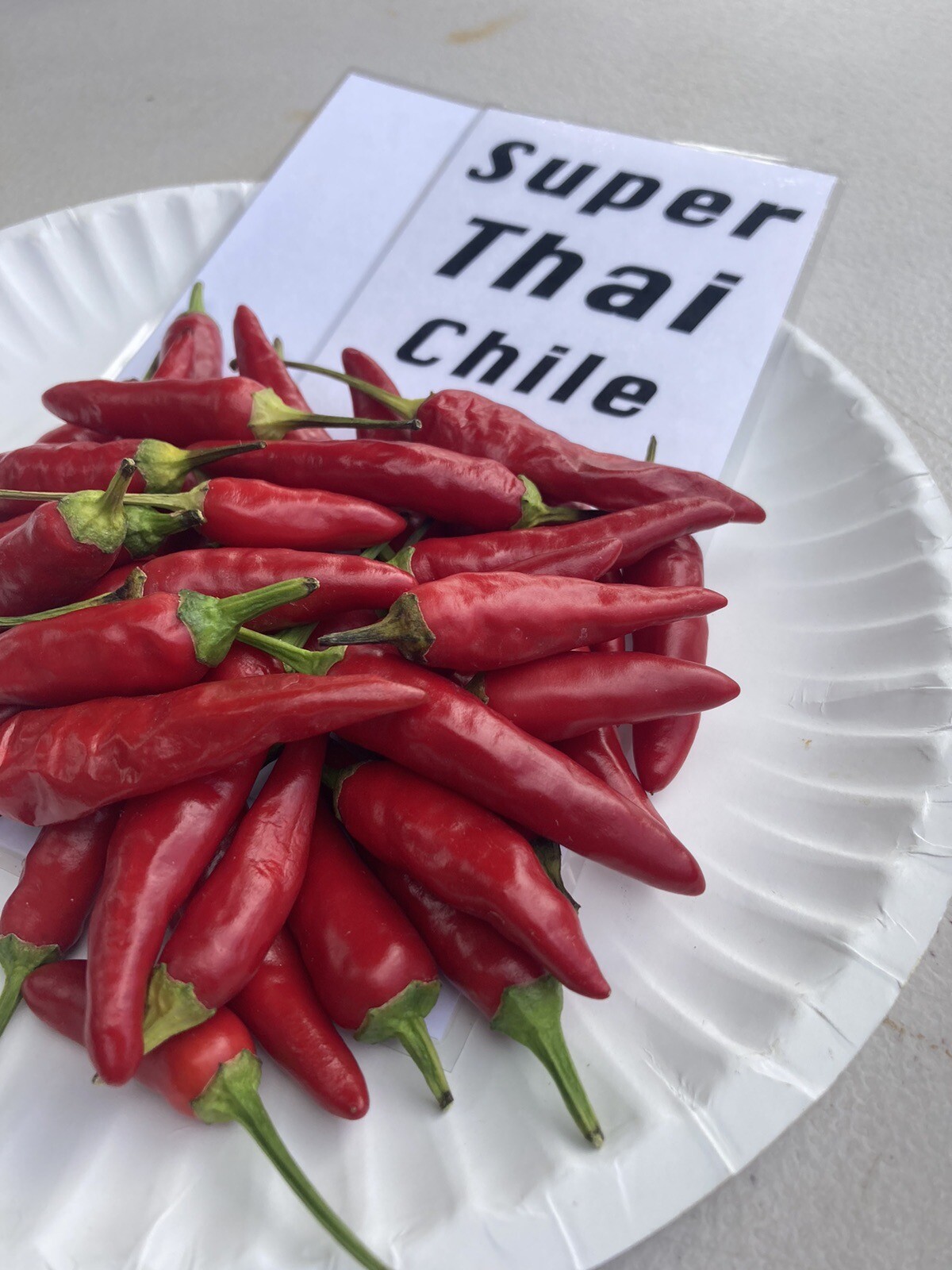 Super Thai Hot Pepper Seeds 25+ Per Pack