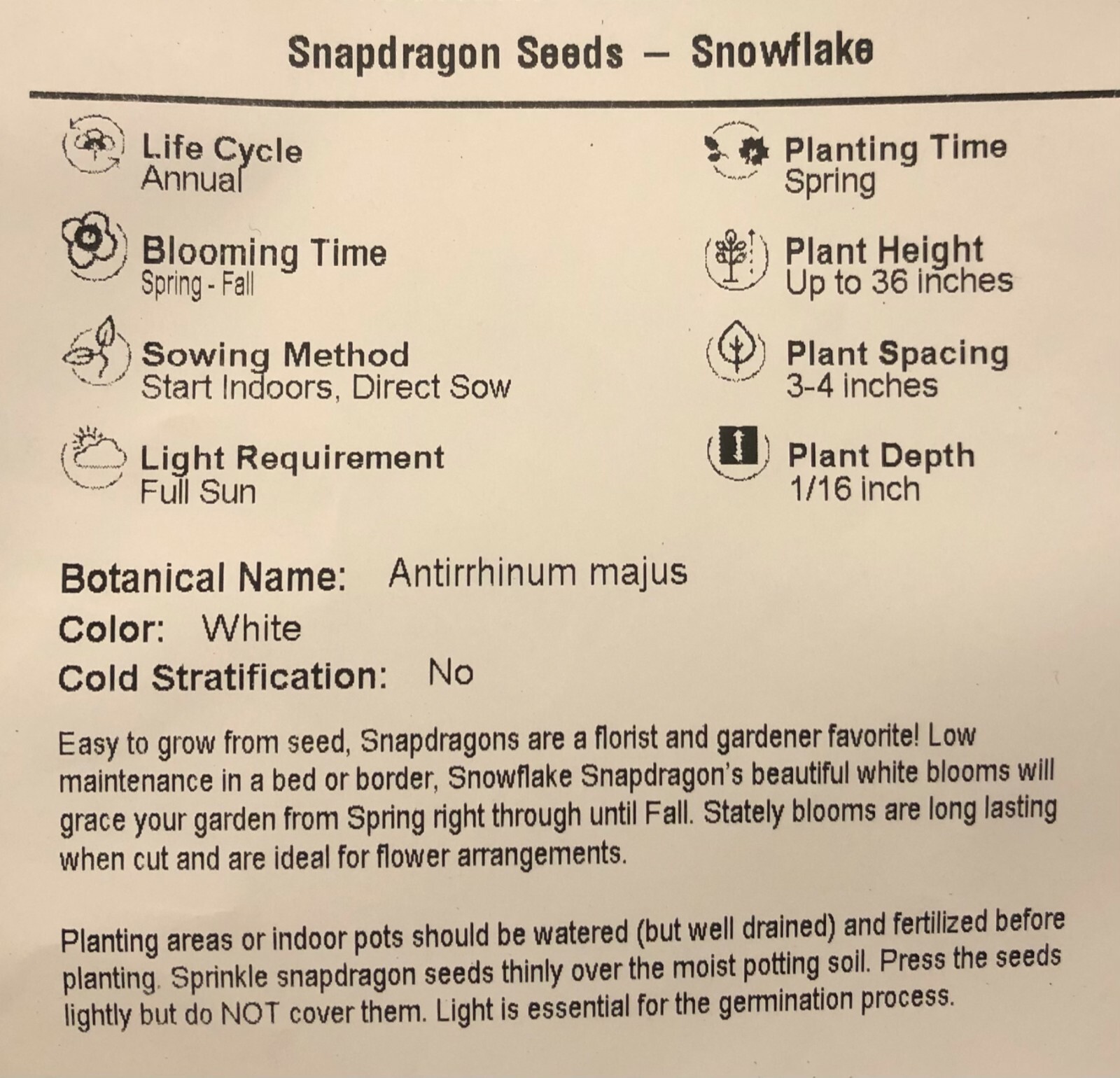 Snapdragon SNOWFLAKE Blooms Spring-Fall White up to 36″ Non-GMO 100 Seeds