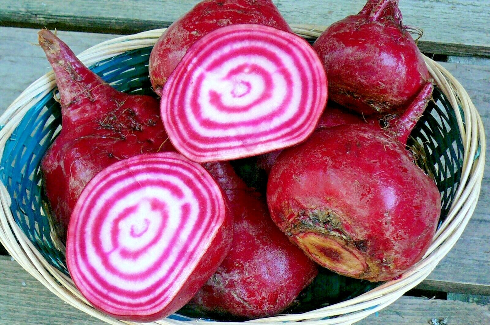 100+CHIOGGIA BEETS Seed Italian Heirloom Vegetable Garden Patio Container Easy