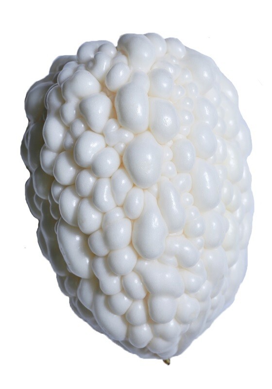 Khổ qua timTrắng 20 Seeds Apple White Bitter Melon round shape rare 台灣白蘋果苦瓜