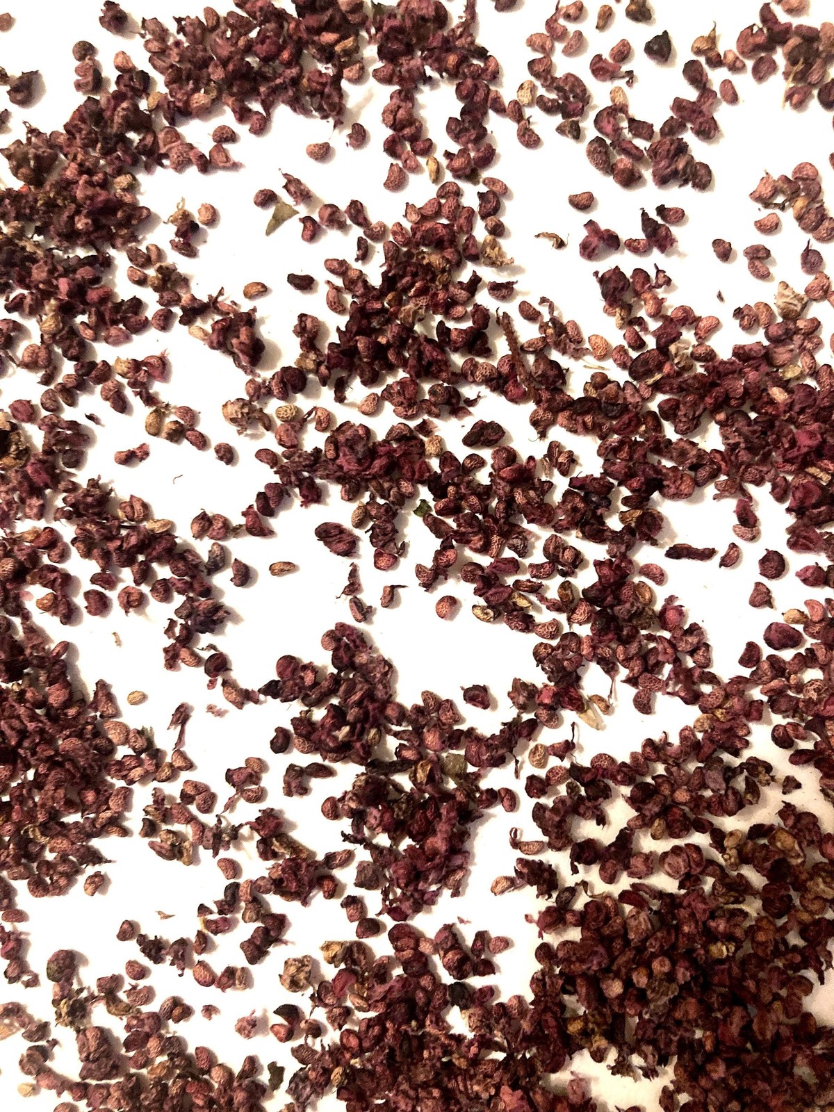 Black Raspberry Seeds (Rubus Occidentalis) Blackcap Raspberry Thimbleberry