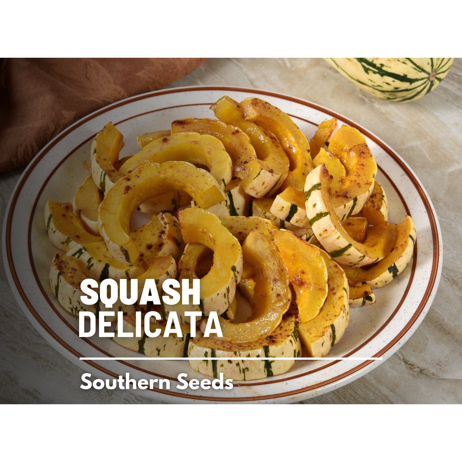 Squash, Delicata (Winter) – 20 Seeds – Heirloom Vegetable, Sweet Potato Squash,