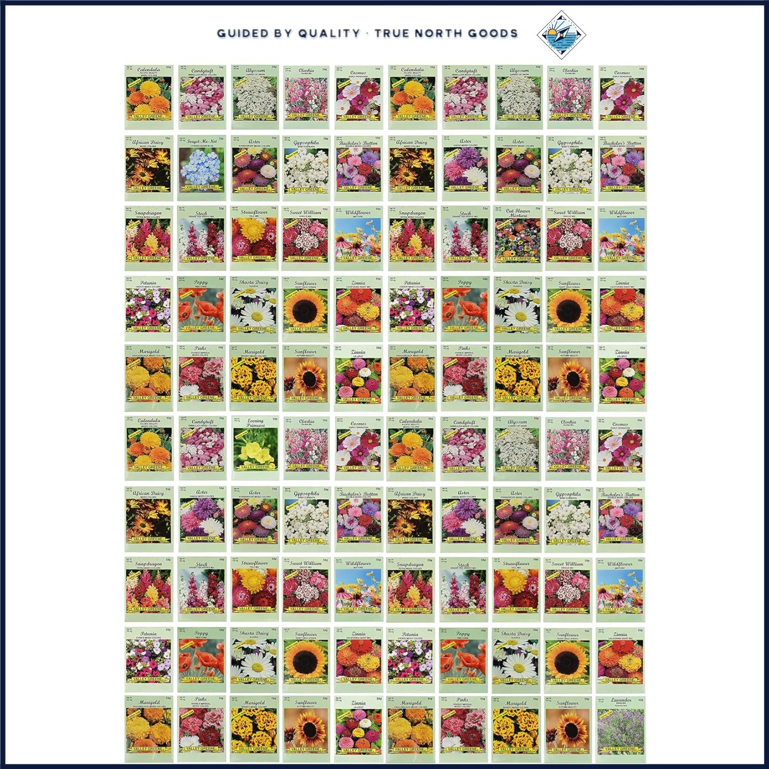 Summer Blooming Flower Seed Packets – 100 Count with Diverse Varieties