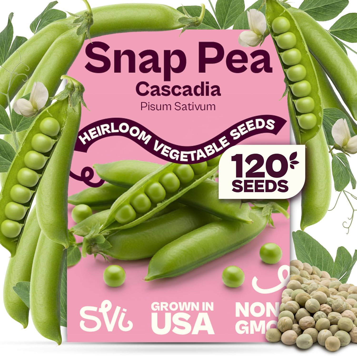 120 Cascadia Snap Pea Seeds (Pisum Sativum) – Sugar Snap Peas, Sweet Peas Seed P