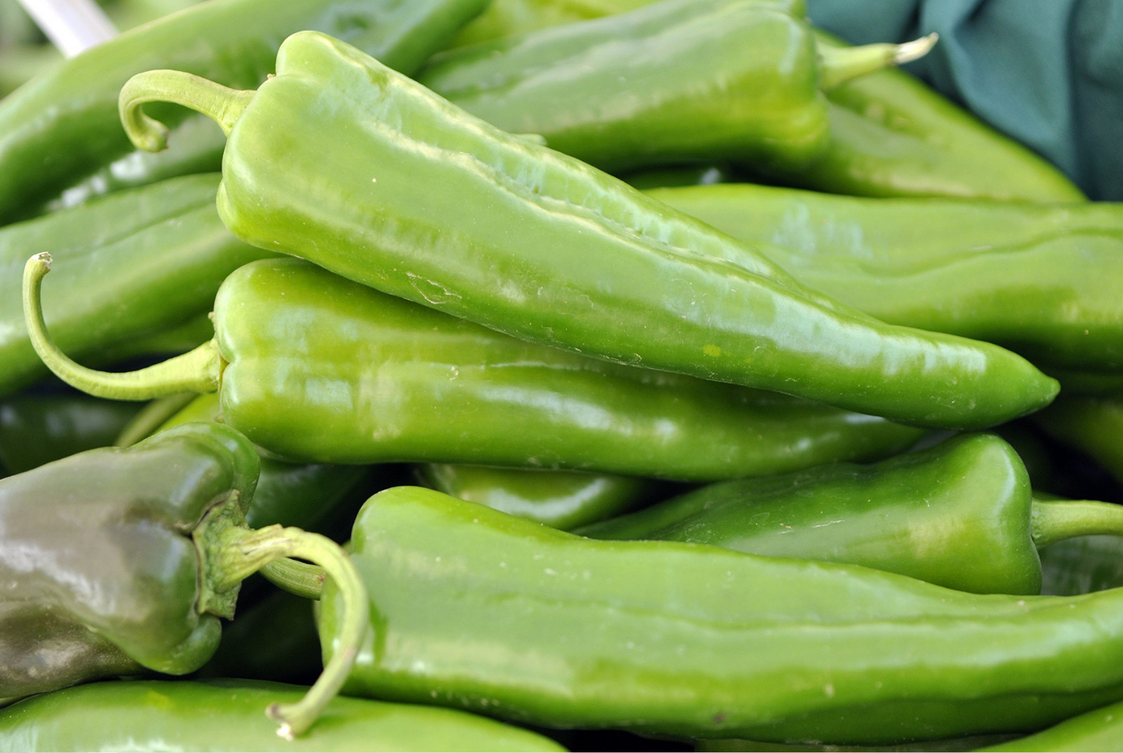 75ct Giant Heirloom Anaheim Chili Pepper Seeds – Super Mild Sweet Pepper 500shu