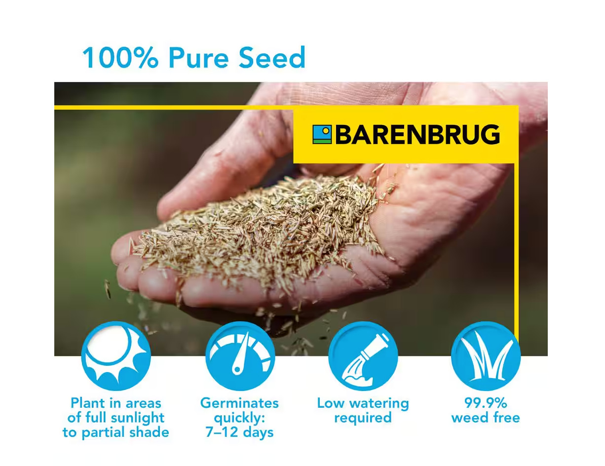 Barenbrug Athletic Field Mix Grass Seed Mixture Turf Sense 25 lbs. 5,000 sq. ft.