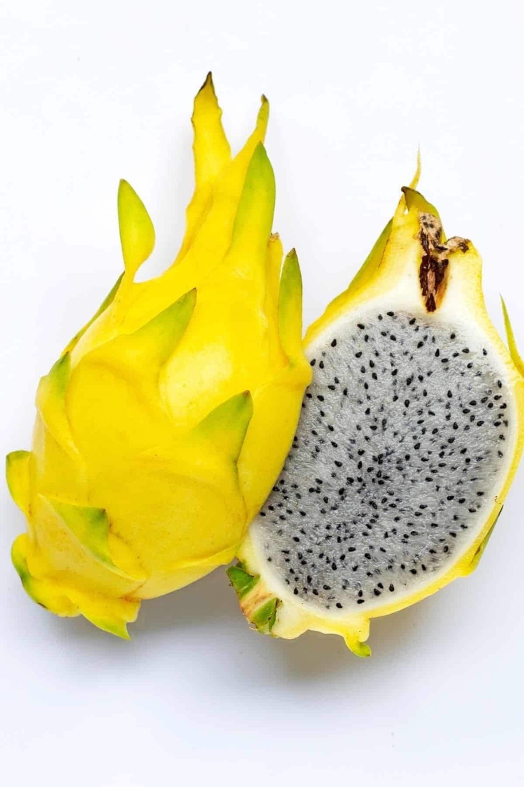 Yellow Dragonfruit Cactus Seeds (50) / ORGANIC / Golden Dragon / Dragon Fruit