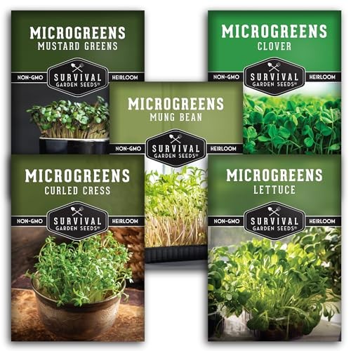 Microgreens Seeds-Variety Pack for Sprouting – Mustard, Mung Bean, Curled 5