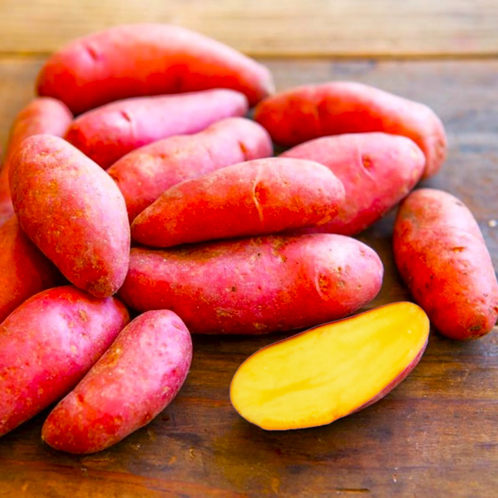 PRE-ORDER NOW! SHIPS APRIL 2026 – Red French Fingerling Seed Potatoes Seeds