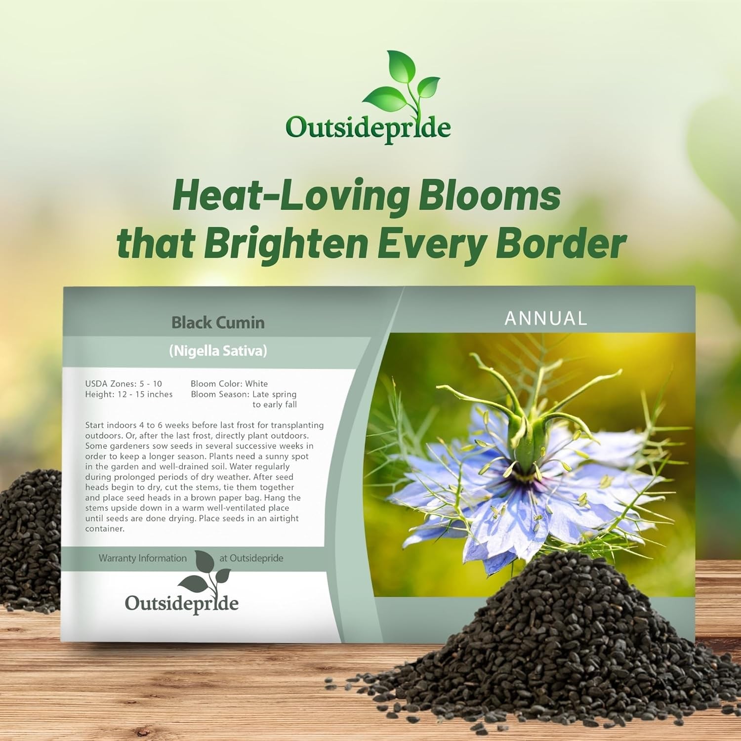 2000 Seeds Cumin Seeds – Black Cumin Herb Seed