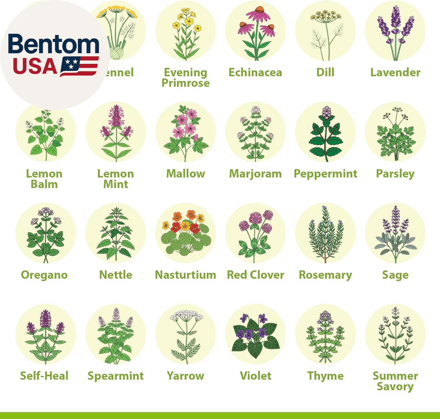 Medicinal Herb Seeds Variety Pack – 39 Heirloom Non-Gmo Apothecary Seed Kit, Her
