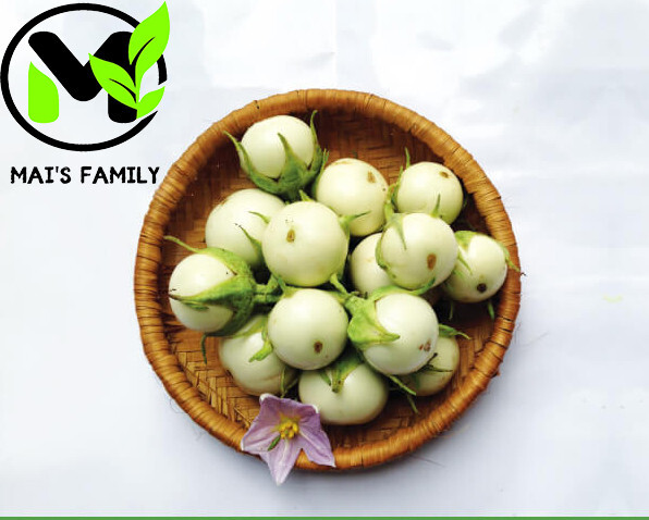 WHITE ROUND EGGPLANT SEEDS, CÀ PHÁO TRẮNG, 茄子,berenjena 90% GERMINATION