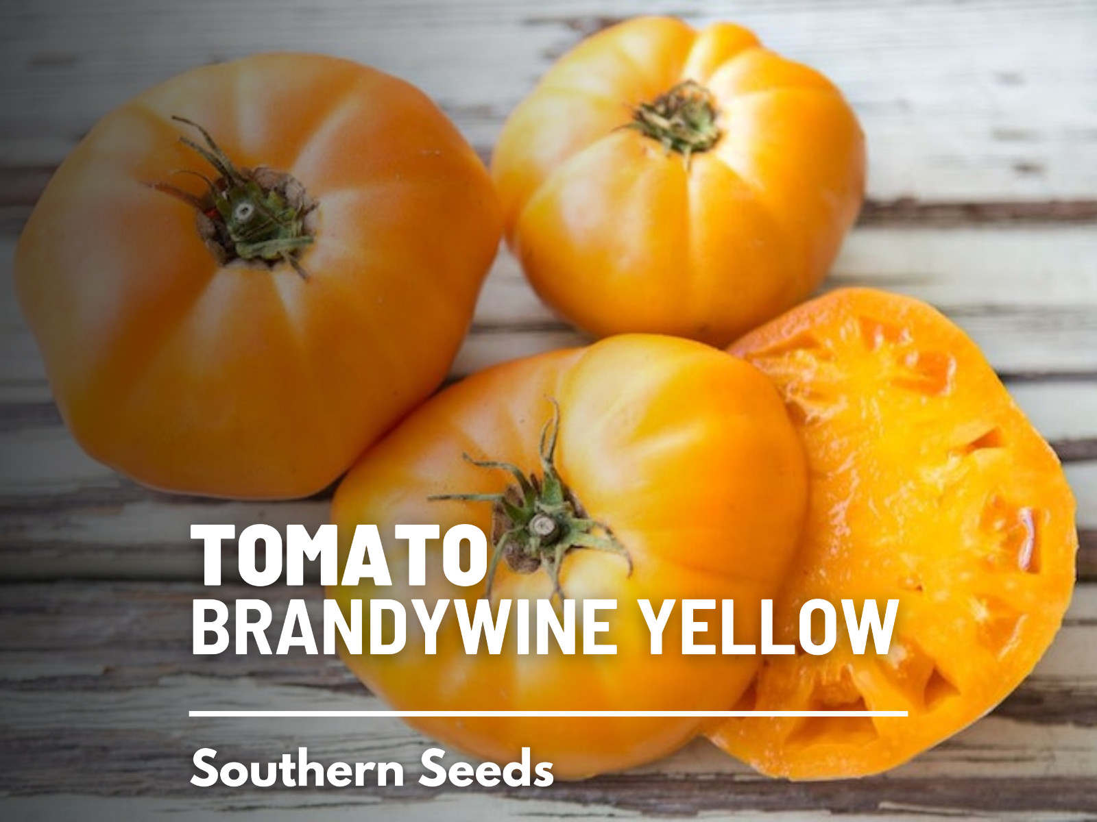 Tomato, Brandywine Yellow – Heirloom Seeds – NonGMO (Solanum lycopersicum)