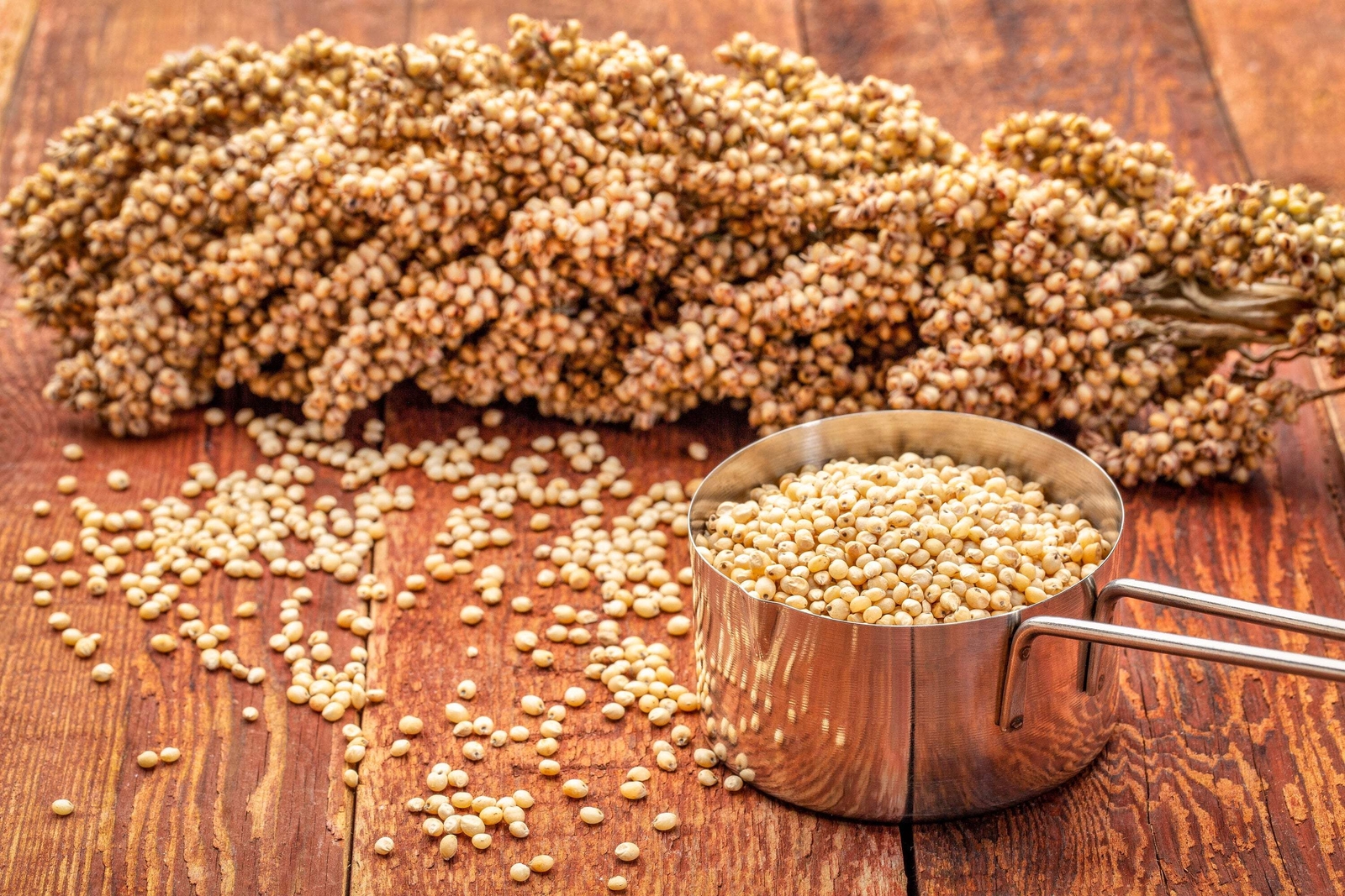 75 WHITE POPPING SORGHUM Bicolor Snack Vegetable Flour Grain Seeds *Combined S/H