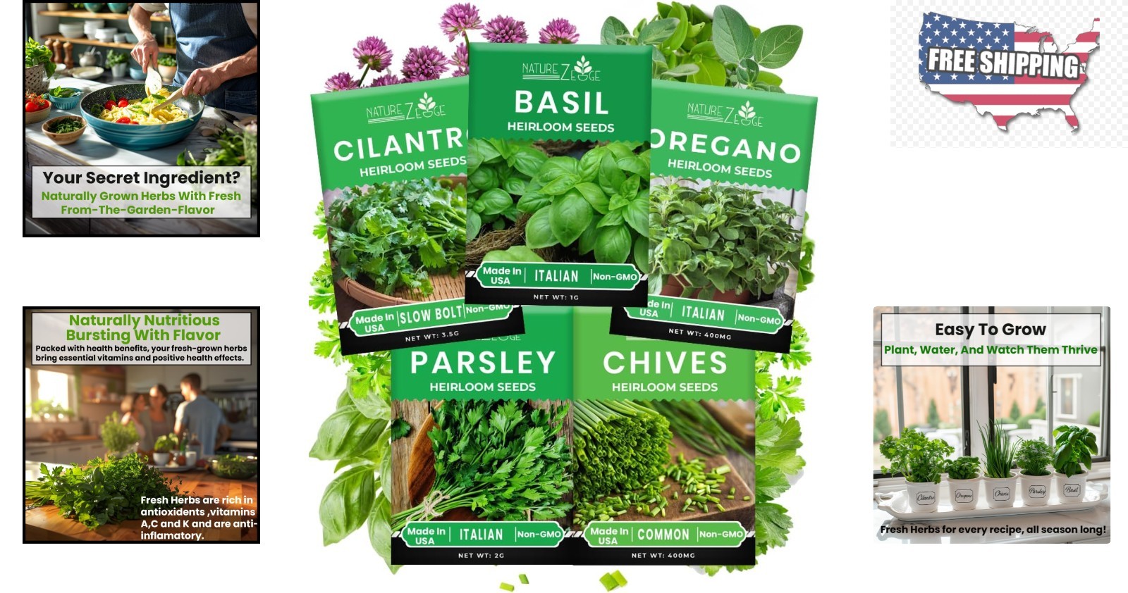 5 Variety Herb Seeds for Indoor & Outdoor Gardens – Gift of Flavor