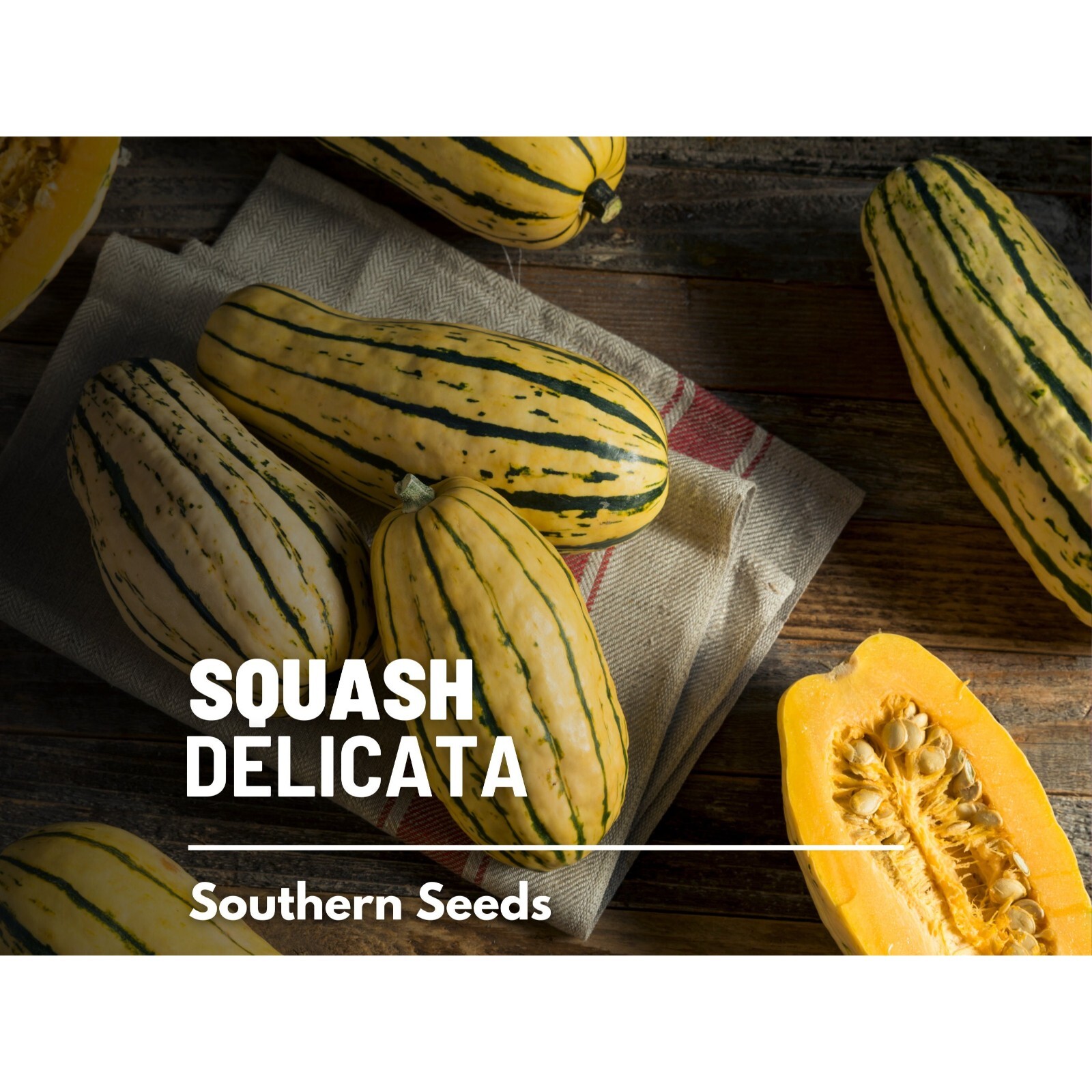 Squash, Delicata (Winter) – 20 Seeds – Heirloom Vegetable, Sweet Potato Squash,