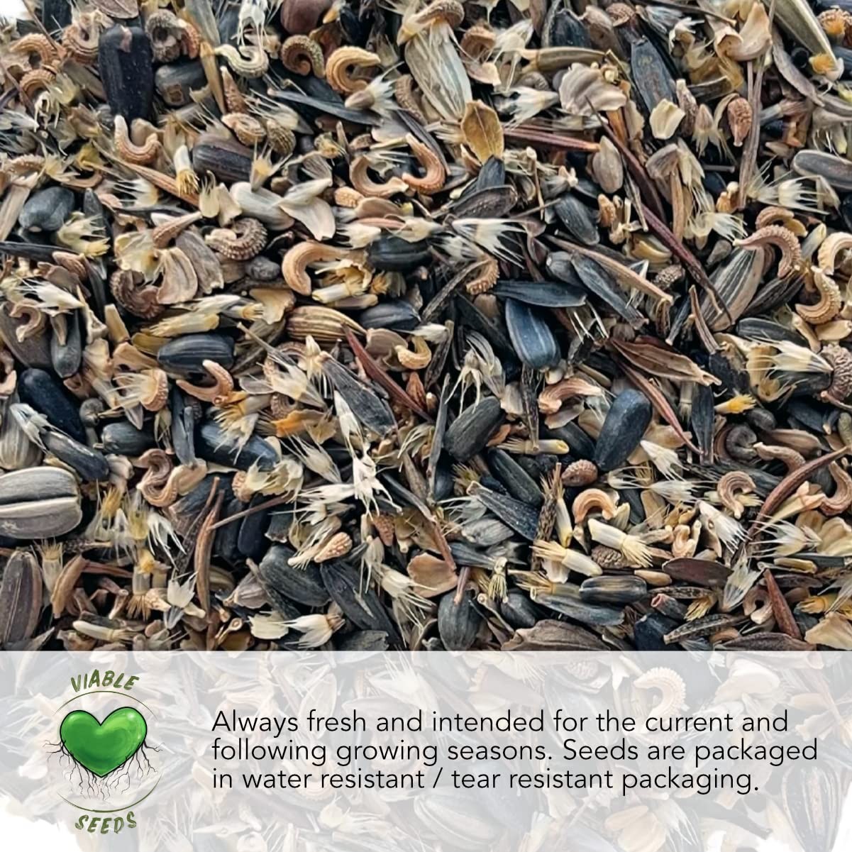 Mint Seeds for Planting Spearmint, Peppermint, Lemon Mint & Pennyroyal NonGM…