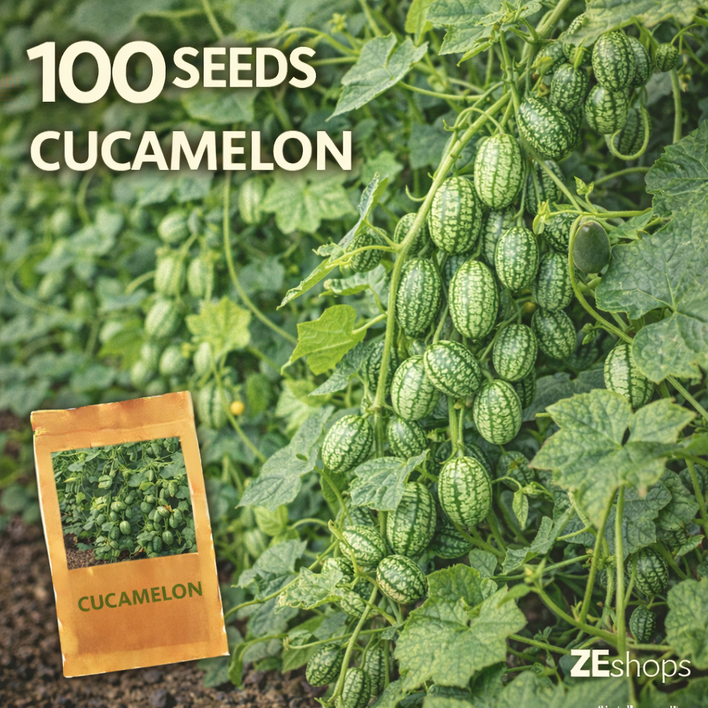 100 Cucamelon Seeds Mexican Sour Gherkin Mini Watermelon Vine
