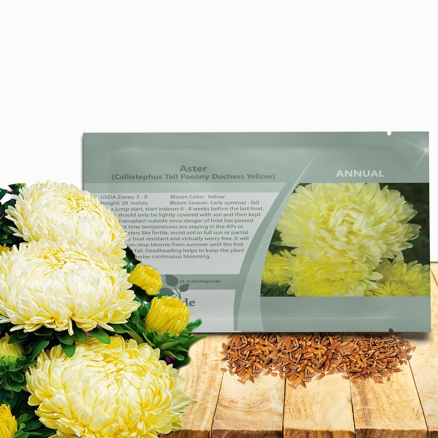 1000 Seeds Aster Seeds – Aster Callistephus Yellow Flower Seed