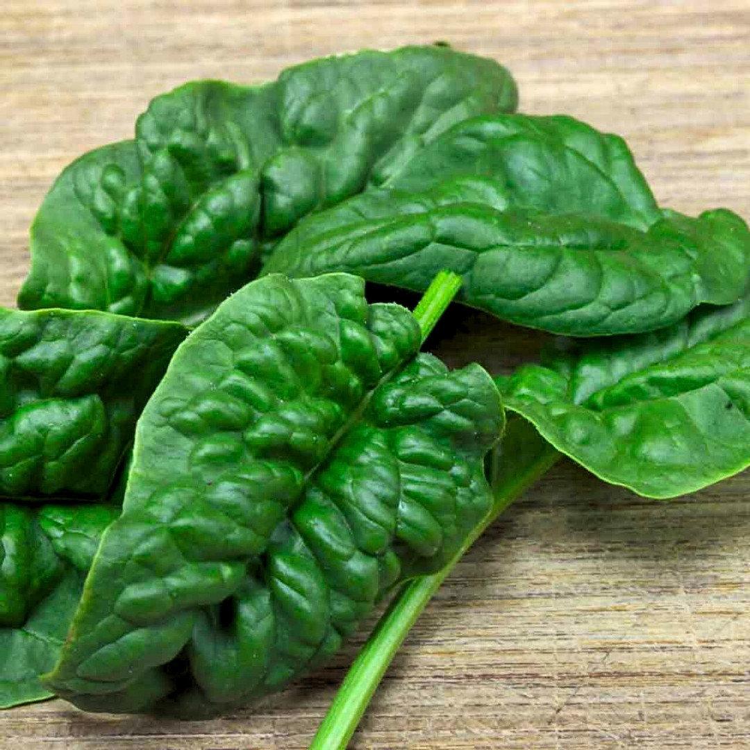 Fresh Premium Bloomsdale Spinach Seeds | Heirloom Non-GMO | Vegetable Seeds