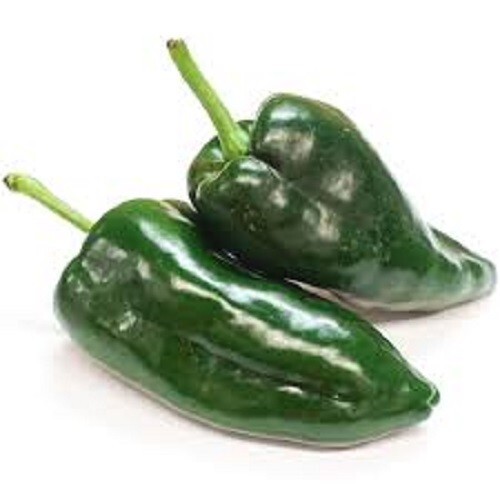 Premium Poblano/Ancho Hot Pepper – Fresh Organic Seeds – 1000 Scoville – 20% off