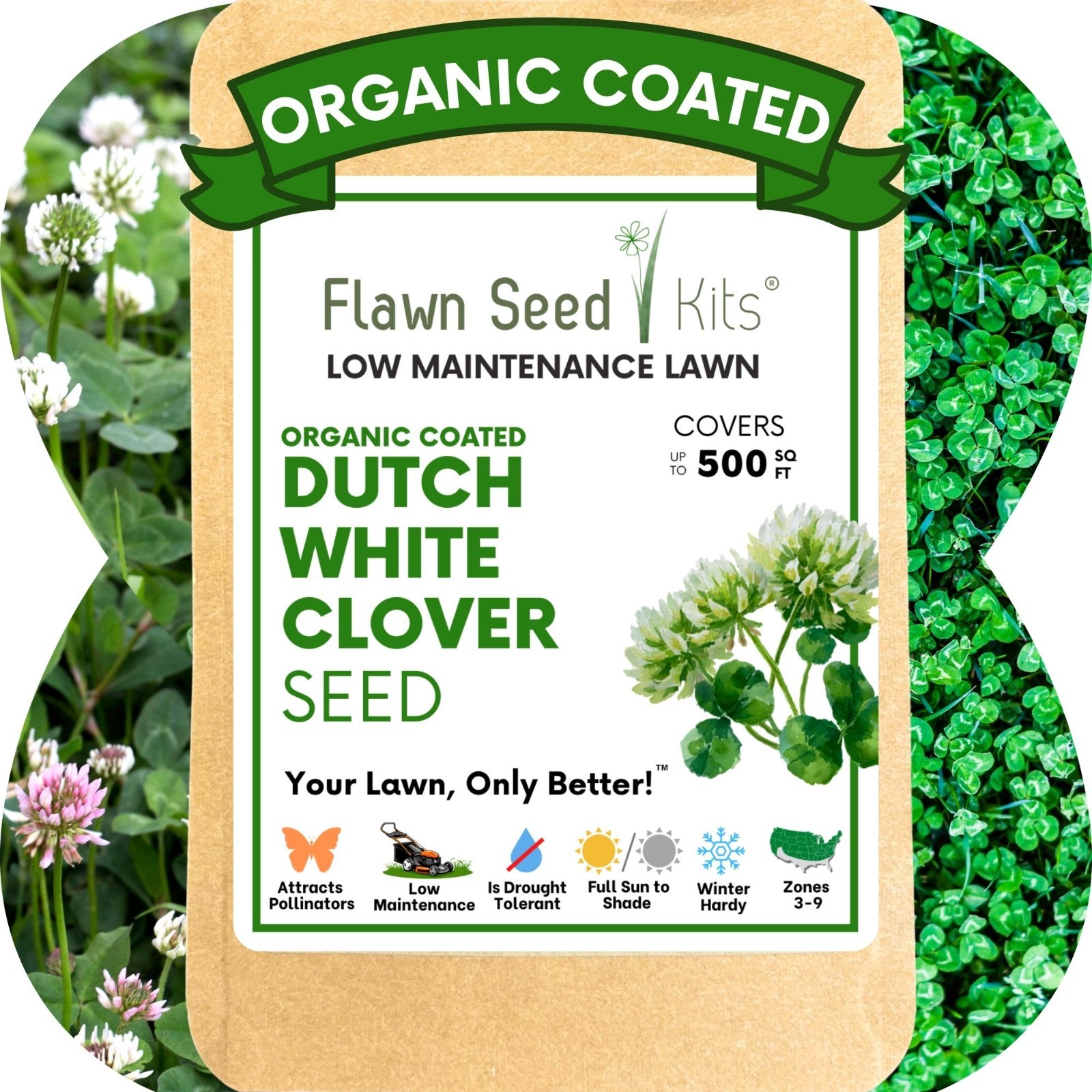 Dutch White Clover Seed, Organic Coated, Eco-Friendly, Low Maintenance