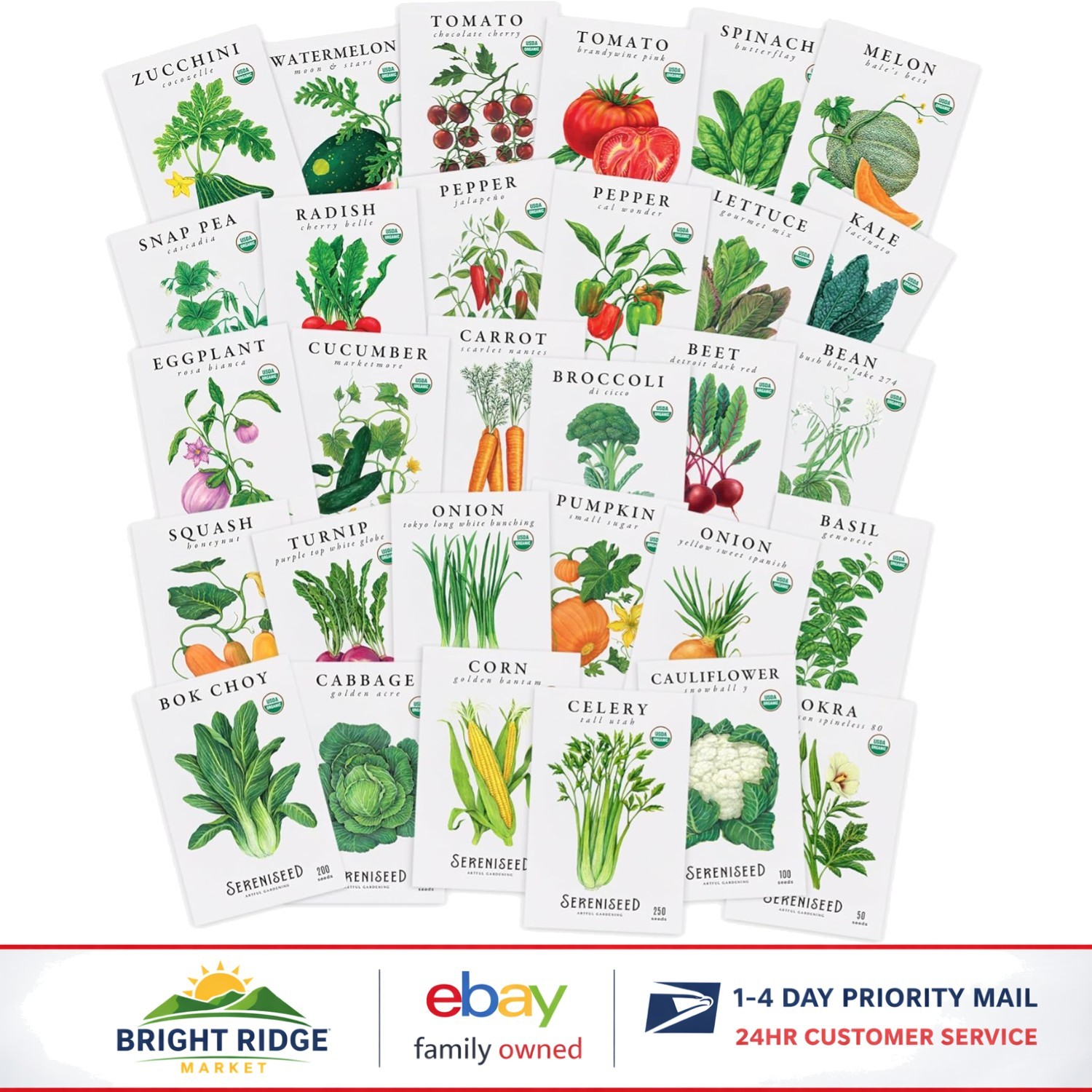 Variety Pack of Certified Organic Vegetable Seeds for Spring to Fall Gardening