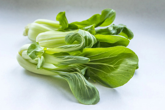 Pak Choi Chinese Cabbage 800+seeds (Brassica rapa)  Free US Shipping